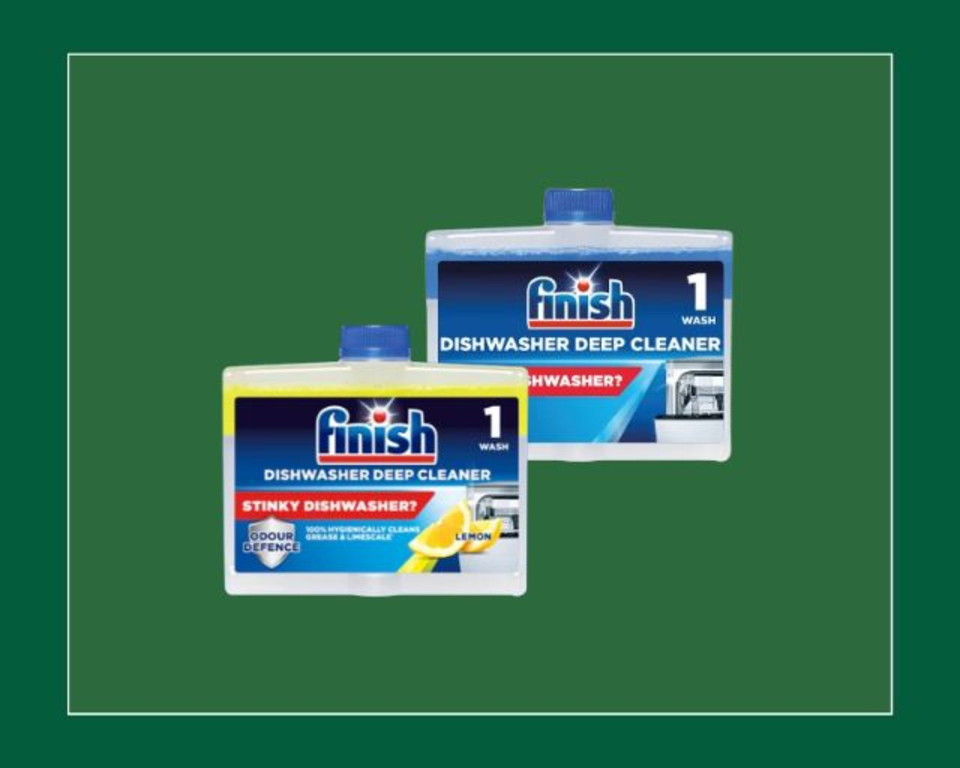 Finish Dishwash Cleaner 250ml 